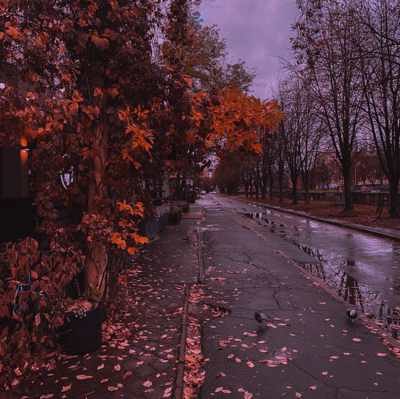 دانلود آهنگ بر من ببار ای جان من ای جانانه ای جانم از حسین عامری