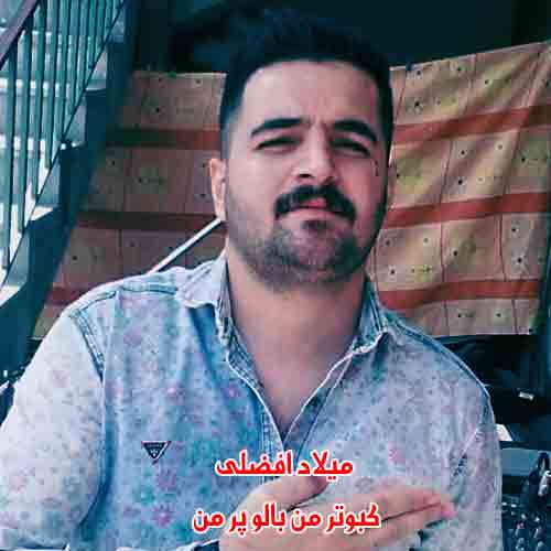 دانلود اهنگ کبوتر من بالو پر من از میلاد افضلی
