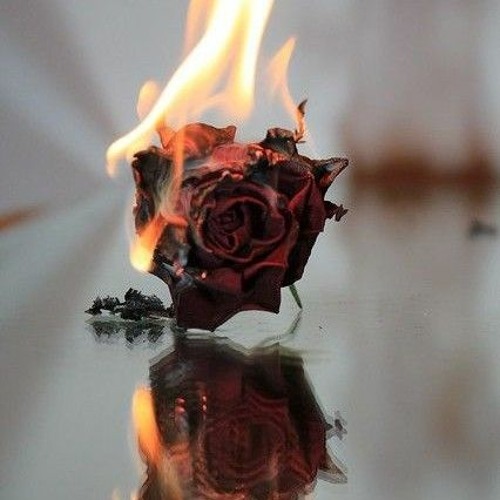 دانلود آهنگ ترکی جدید اله بیل کی بیلمیرم خبریم یوخدور با صدای داملا