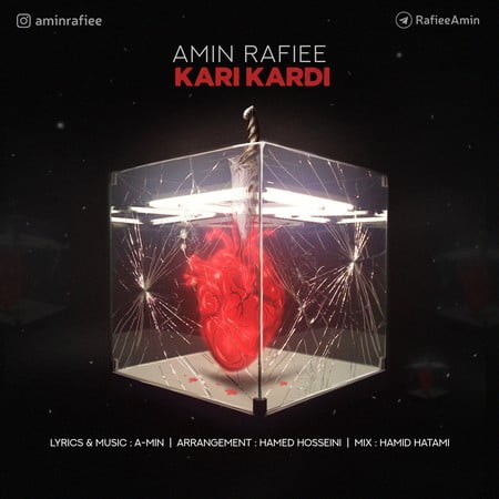 دانلود آهنگ امین رفیعی کاری کردی