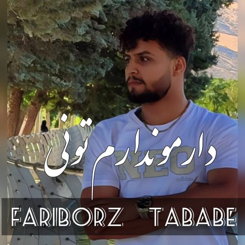 دانلود آهنگ دارمو ندارم تونی از فریبرز تبابه